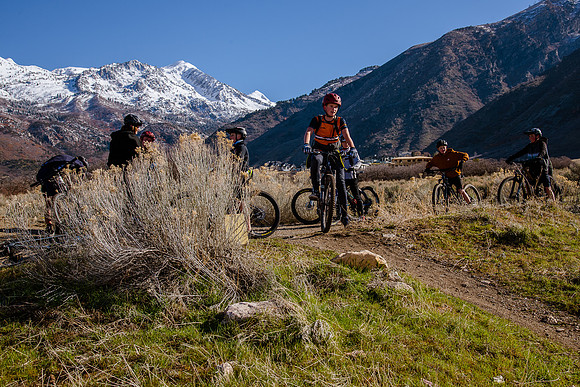 Velo 202138270