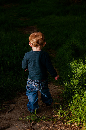 Wheeler Farm-2531