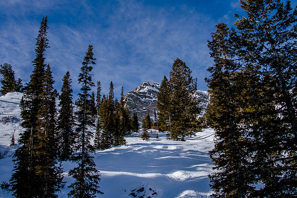 Freeride Snowbasin91084