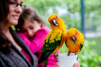 Family Outing at Tracey Aviary-1563