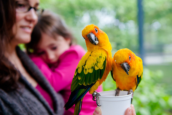 Family Outing at Tracey Aviary-1563