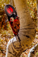 One Year of Skateboarding: A Road Trip Through Colorado’s Skate Parks and Scenic Wilderness