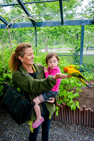 Family Outing at Tracey Aviary-1575