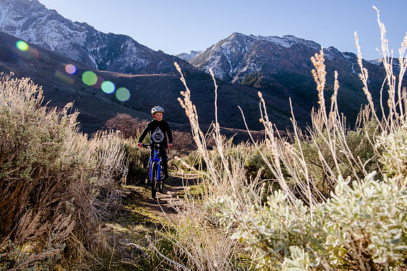 Velo 202138140