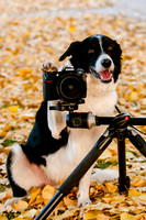 Brian Smyer's 2013 editor's picks-9785