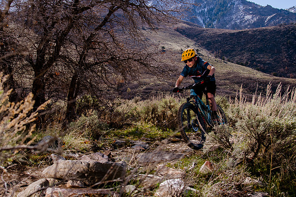 Velo 202138421