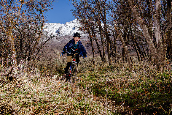 Velo 202138331