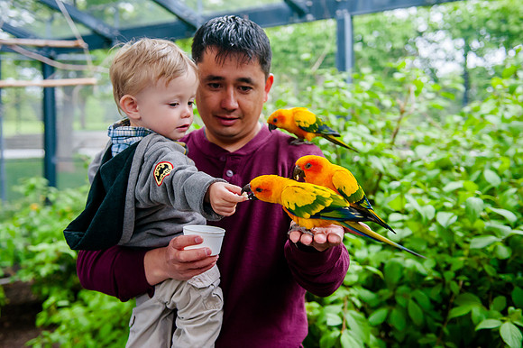 Family Outing at Tracey Aviary-1615