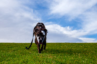 Stark_DSC0244