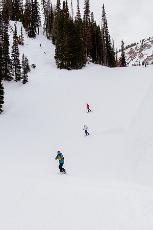 Freeride Snowbasin91175