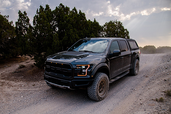 Raptor69198