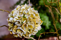 Pierpont Place Wedding at Natural History Museum 8875