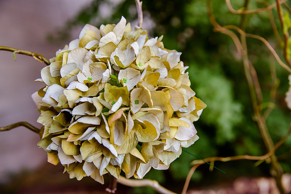 Pierpont Place Wedding at Natural History Museum 8875