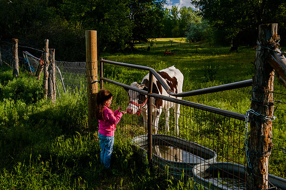 Wheeler Farm-2206