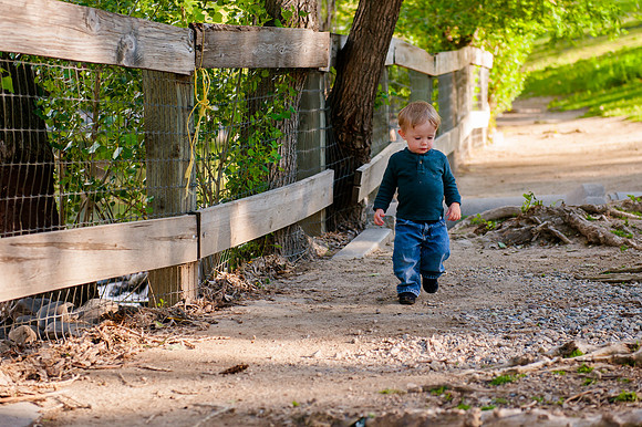 Wheeler Farm-2119