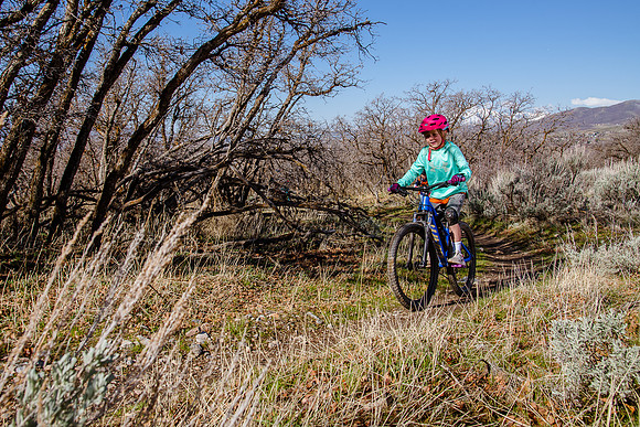 Velo 202138297