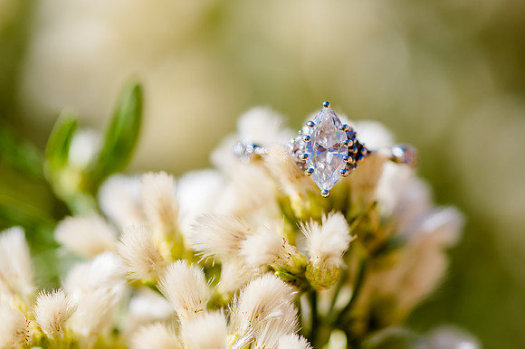 Wedding at Entrada29580