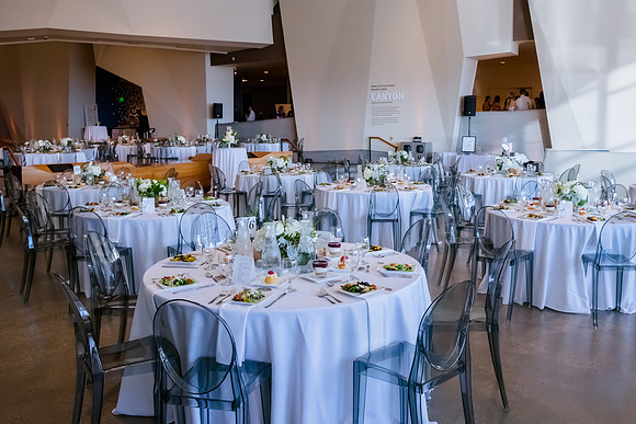 Pierpont Place Wedding at Natural History Museum 8939