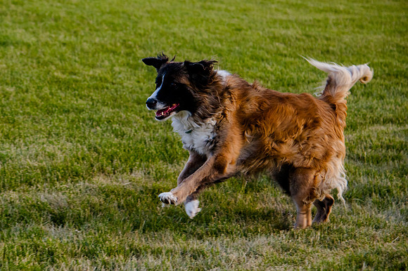 Stark_DSC1602