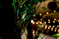 Sundance Soirée at Pierpont Place017142