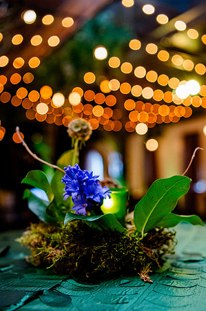 Sundance Soirée at Pierpont Place017269