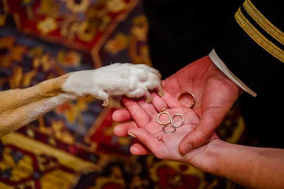 Glenn and Jenna wedding day 12-30-16-2284