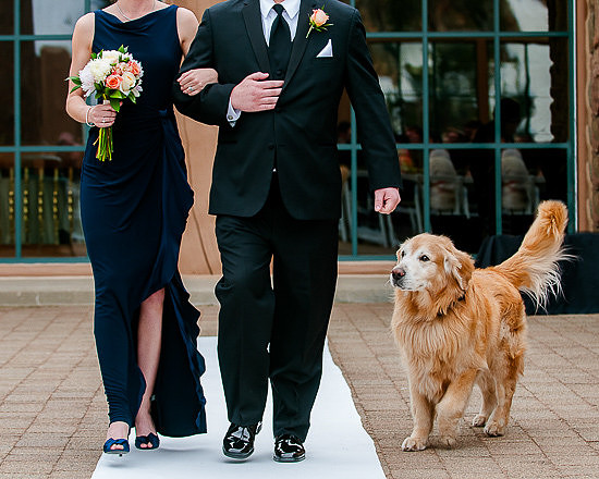 Snowbasin Wedding- Photographer Brian Smyer-33