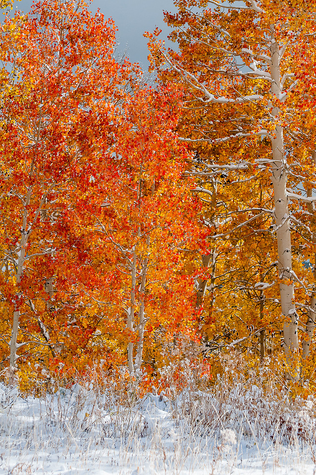 Brian Smyer's 2013 editor's picks-9988