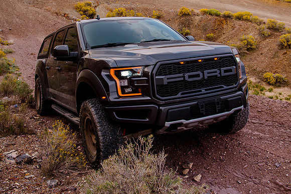 Raptor68884