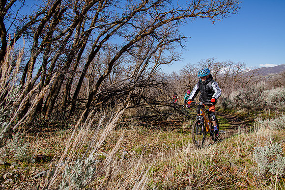 Velo 202138295