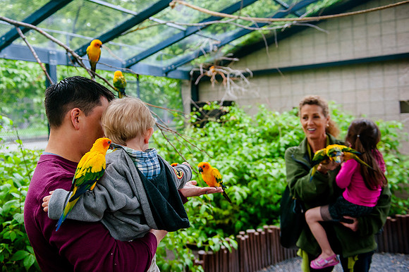 Family Outing at Tracey Aviary-1638