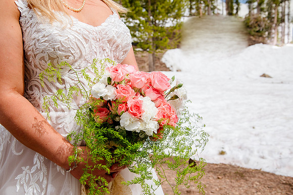 now in June: Megan Collins and Seth Underwood's Mountain Wedding