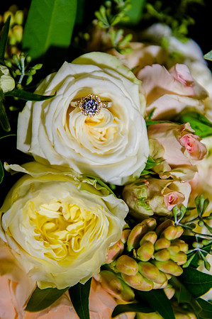 Bride Inspiration at Cactus and Tropicals-PC Smyer Image-6864