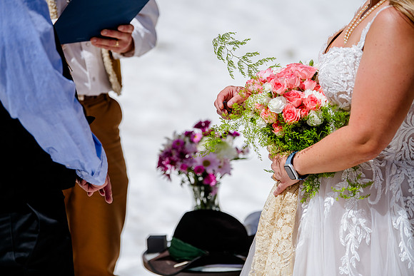 now in June: Megan Collins and Seth Underwood's Mountain Wedding