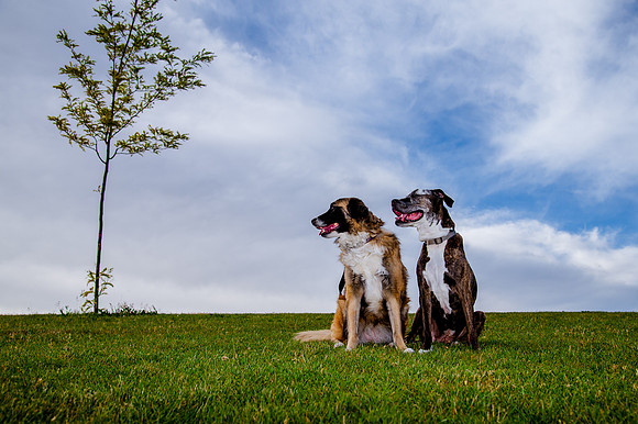 Stark_DSC0225