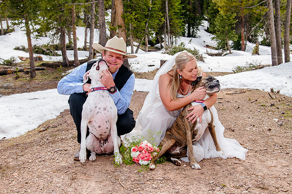 now in June: Megan Collins and Seth Underwood's Mountain Wedding