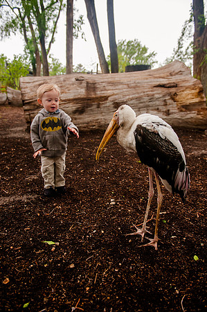 Family Outing at Tracey Aviary-1790