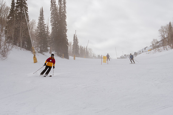 Freeride Snowbasin90545