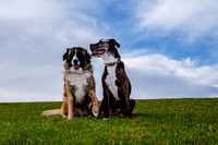 Stark_DSC0226