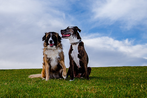 Stark_DSC0226