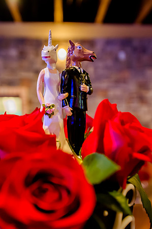 Joe and Jana wedding day-5815