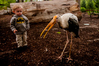 Tracy Aviary and Wheeler Farm 2015
