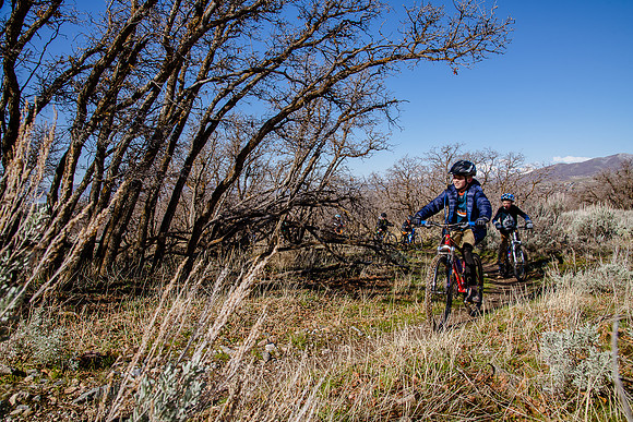 Velo 202138288