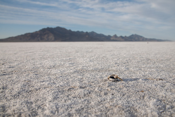 Heather Ohman & Chad Winget’s Windswept Wedding Adventure at the Utah Salt Flats020734