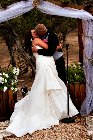Editor's Pick-222