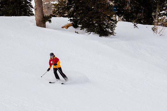 Freeride Snowbasin91163