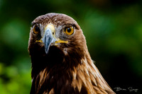 Ready to Hatch 2019_DSC7968