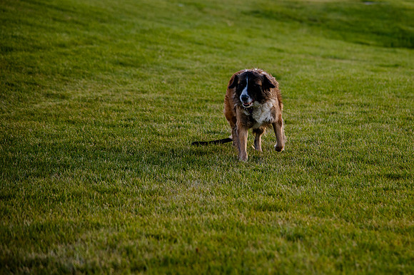 Stark_DSC1399