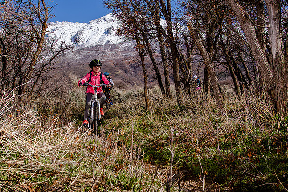 Velo 202138326