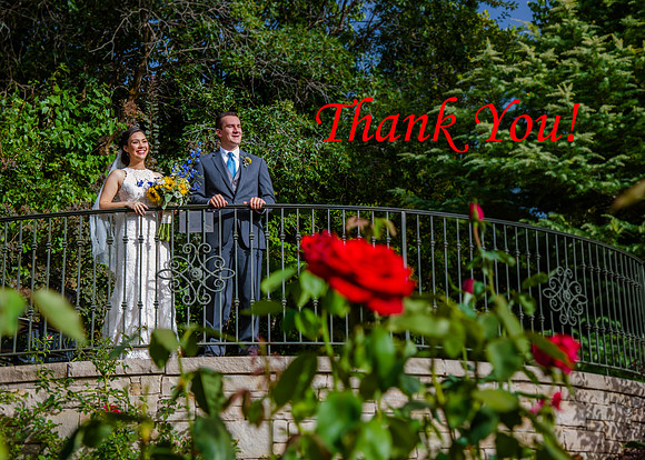 Thank you 3
